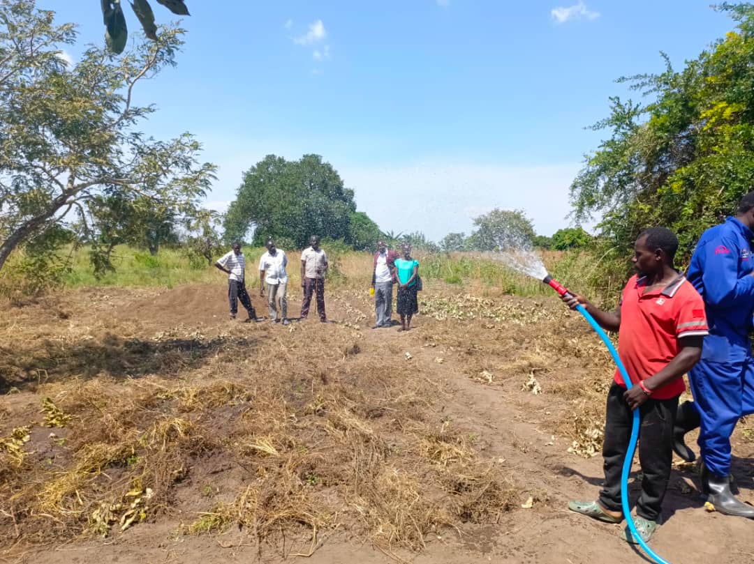 Members of the Production committee of council in Jackson Oculi's farm which is boosted by micro scale irrigation program